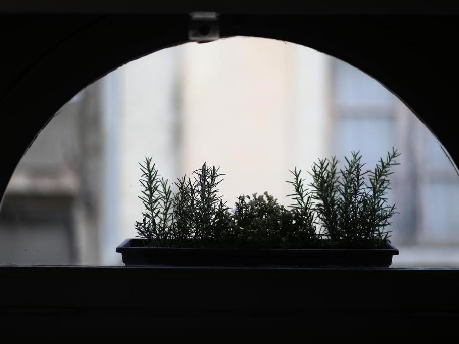 Le Relais De La Maison Bacou Carcassonne Esterno foto